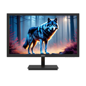 Dahua DHI-LM22-L200 22 inch FHD Monitor